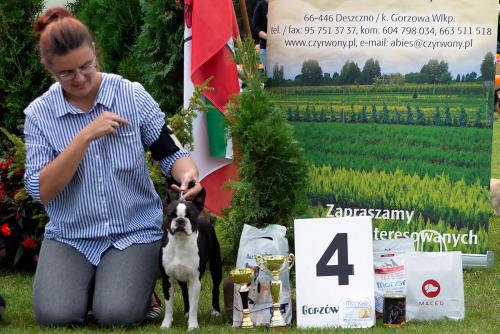 Boston Style EVERLASTING LOVE 